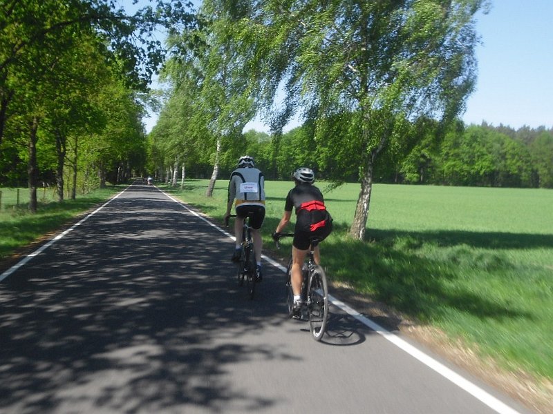 RTF Celle 2011 Manfred 213